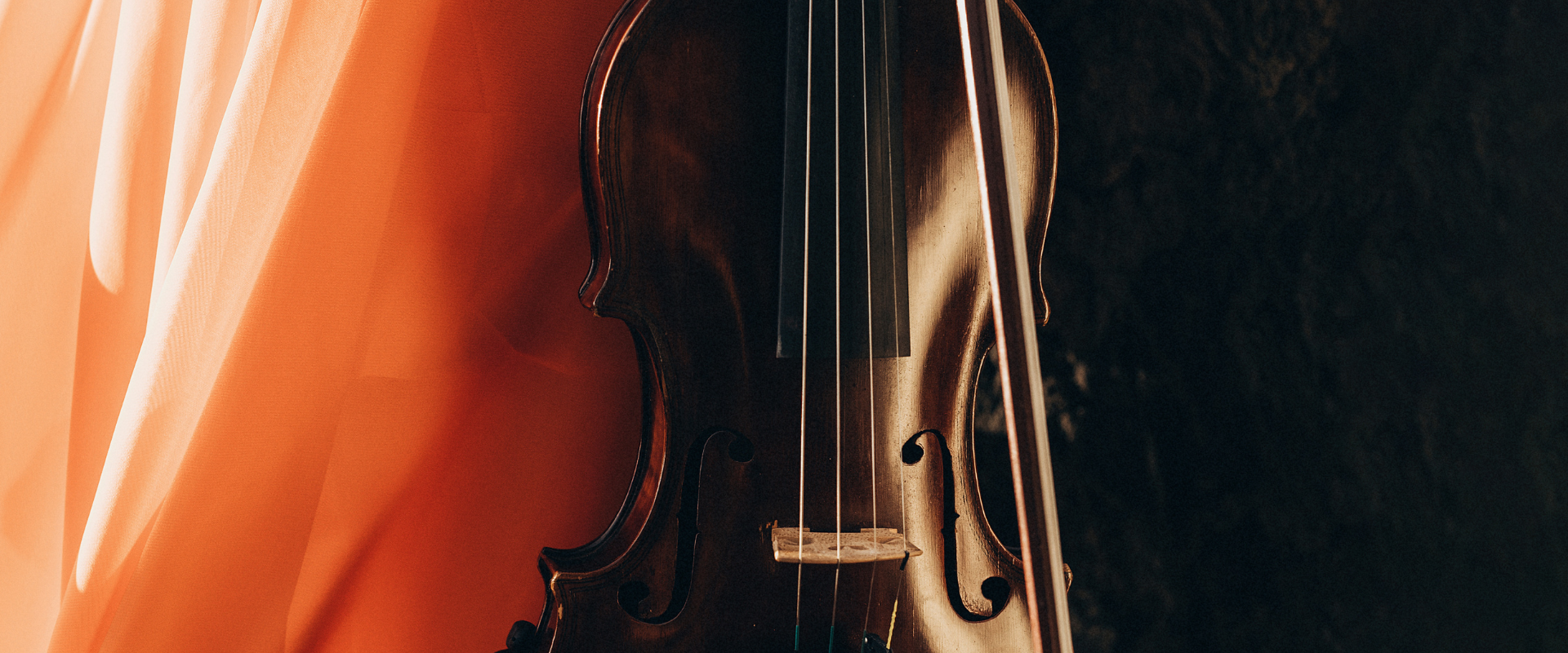 Dorina Violinista profesional Tenerife